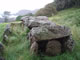 Le Couperon - Old pre-historic tomb in wild surroundings